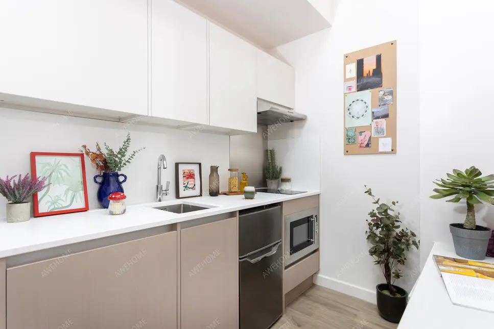 BristolPersonal housing Rentals[Personal housing]Cathedral Park