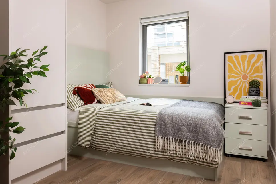 BristolPersonal housing Rentals[Personal housing]Cathedral Park