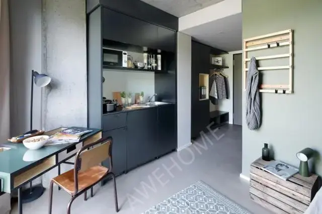 Frankfurt am Main Rentalsresidence near Marie Curie Strabe