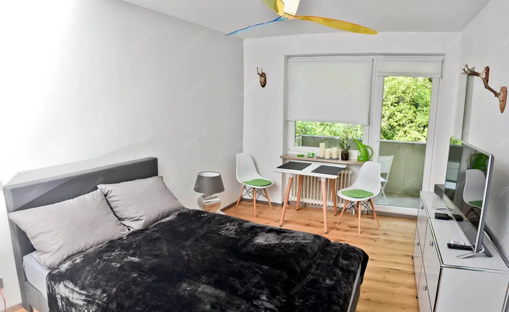 慕尼黑租房studio in Neuhausen   Nymphenburg