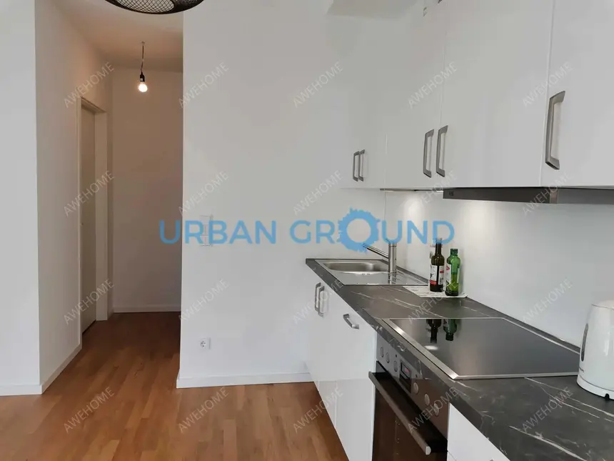 Berlin RentalsReduced Rent - Furnished 2 -room flat with balcony