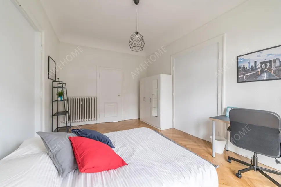 Strasbourg RentalsClemenceau