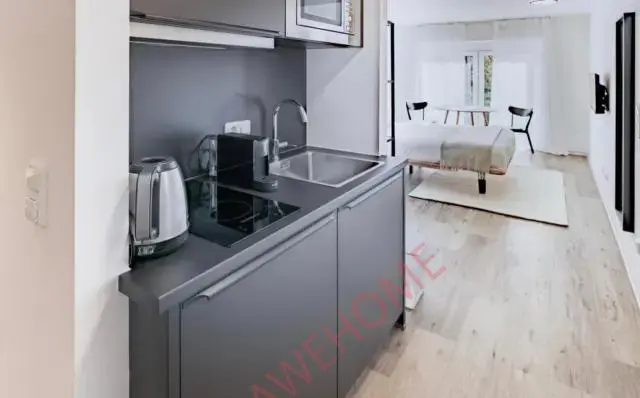 美因河畔法蘭克福留學租房