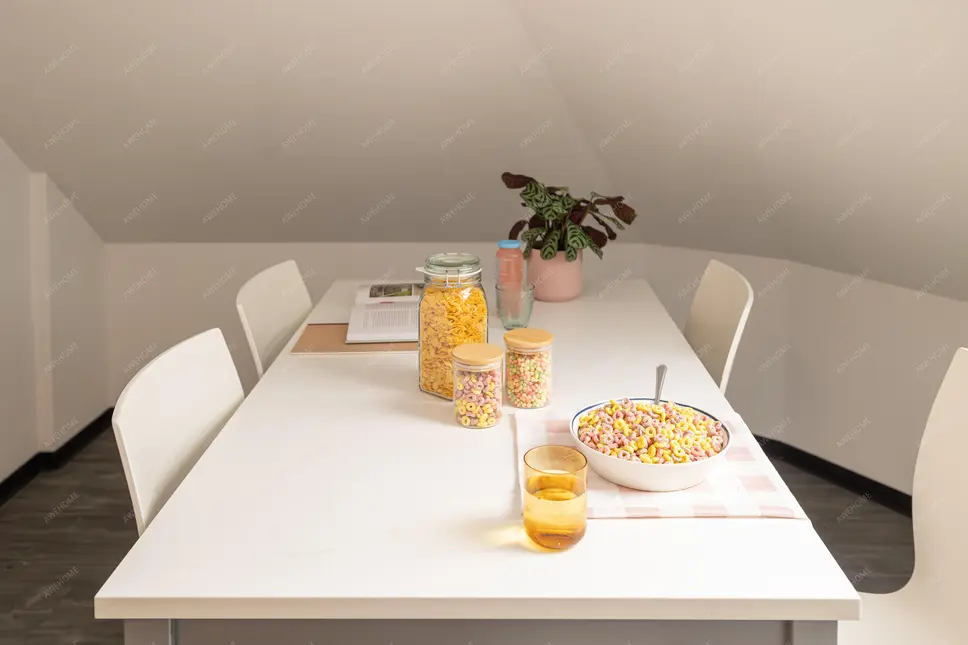 Münster RentalsLeonis