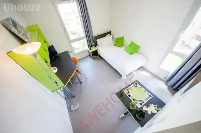 LyonSingle Apartment Rentals[Single Apartment]里昂8区Cardinalcampus-Arts Berthelot