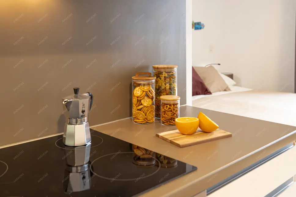 美因河畔法蘭克福租房Urbanum