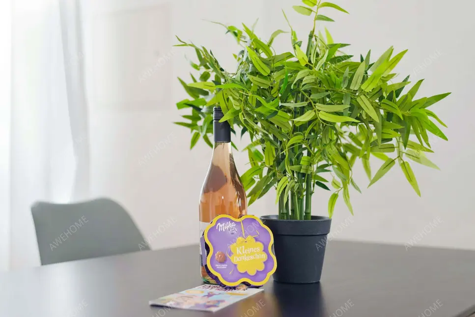 Berlin RentalsGuineastrasse