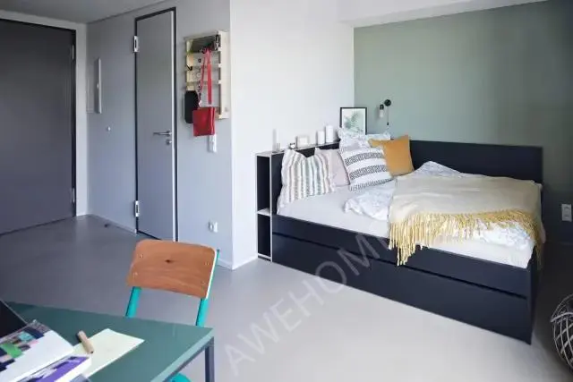 Frankfurt am Main Rentalsresidence near Marie Curie Strabe