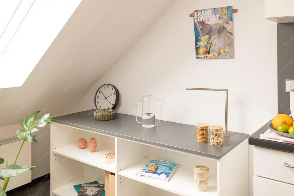 Münster RentalsLeonis