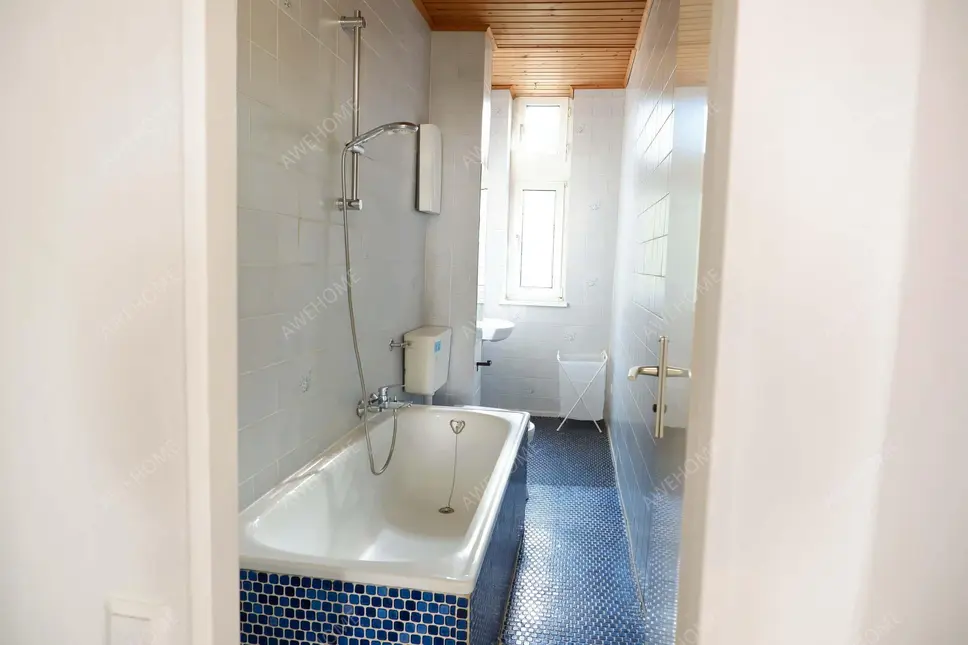 Berlin RentalsGuineastrasse