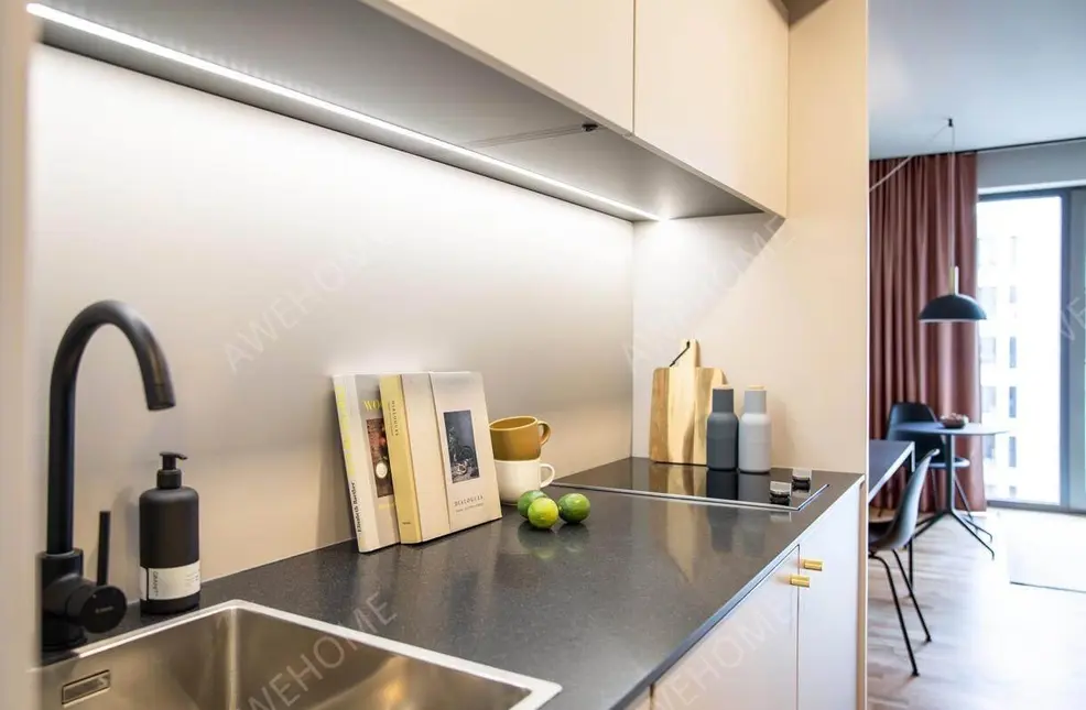 Darmstadt RentalsDesign Serviced Apartment Darmstadt - S