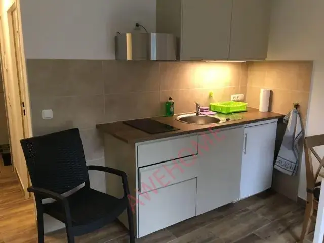 慕尼黑租房studio in Untergiesing   Harlaching