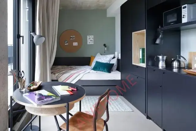 Frankfurt am Main Rentalsresidence near Marie Curie Strabe