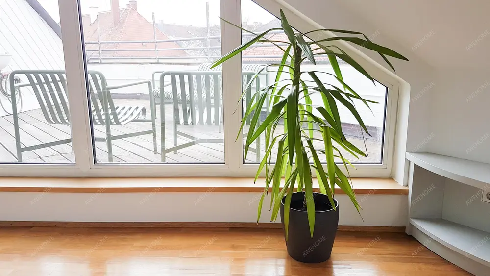 慕尼黑租房Kamin