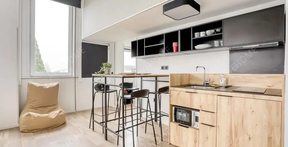 ParisBNB Rentals[BNB]Paris Massy-Palaiseau