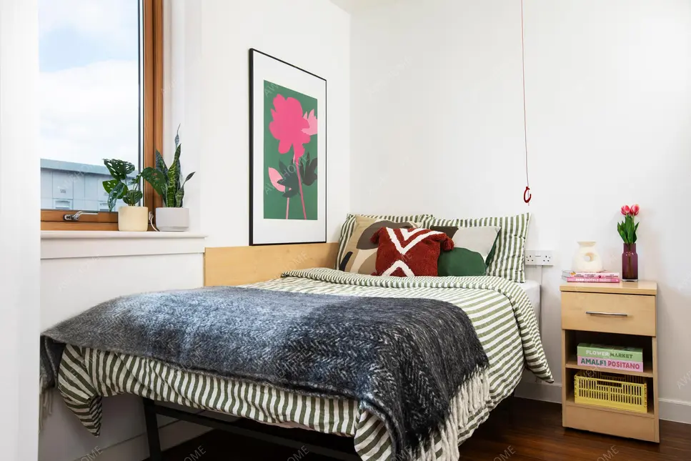 Medway RentalsPier Quays