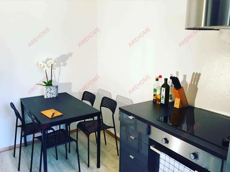 Frankfurt am MainStudy Overseas Accommodation Booking