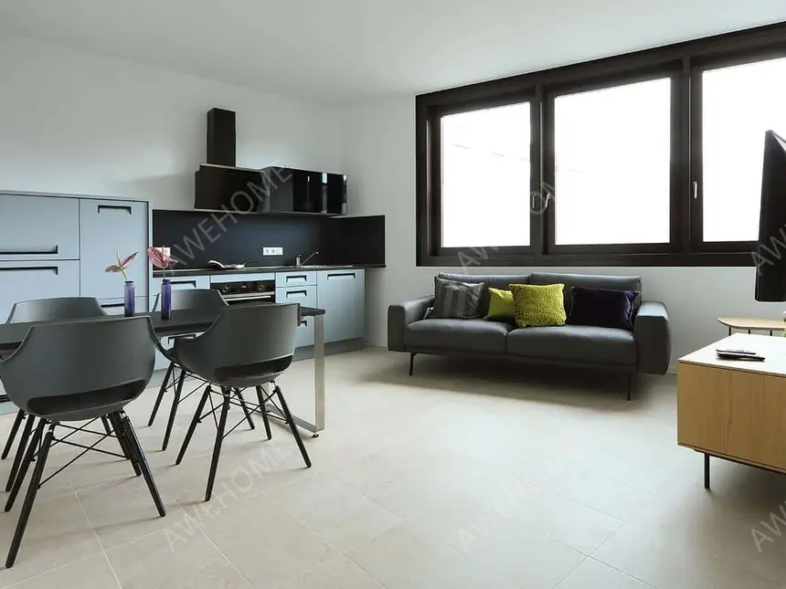 波恩租房iFOUR- Cosy Apartment in the center of Bonn