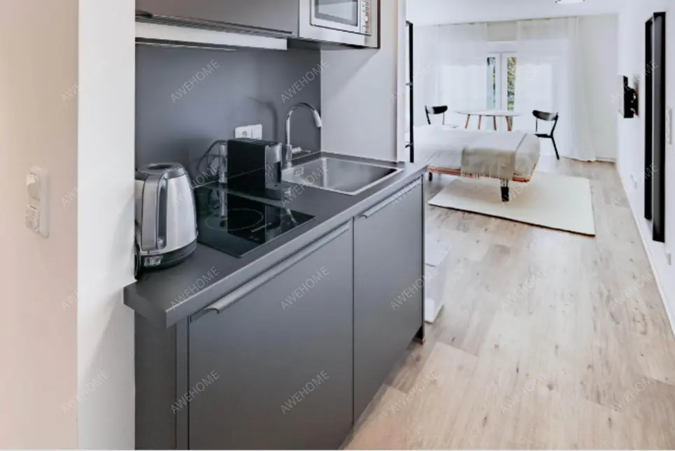 Frankfurt am Main Rentalsstudio near Klnberstrabe