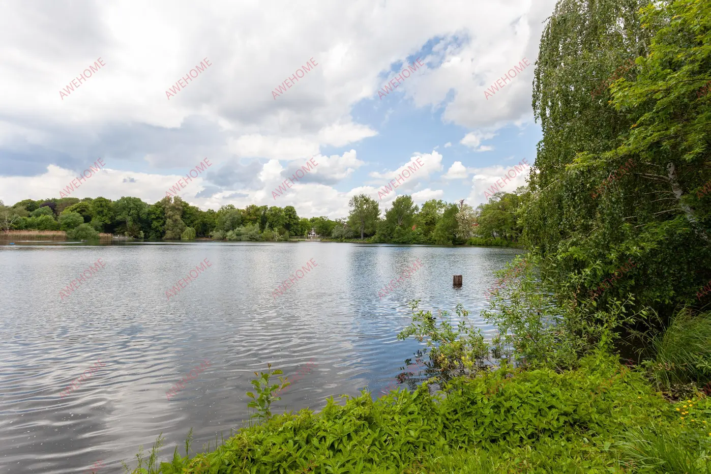 柏林租房Theodor 4