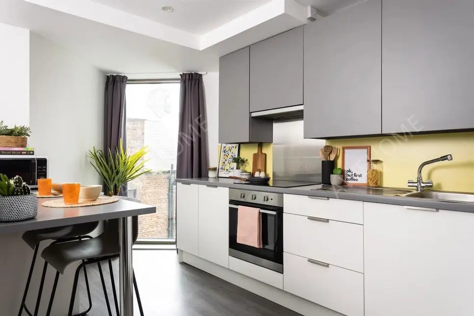 紐卡斯爾租房Newgate Court