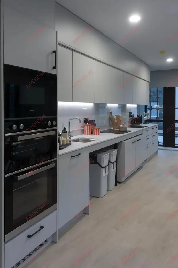 Galway RentalsQueen Street Place