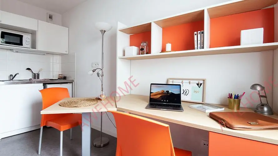 Lyon RentalsStudio 7