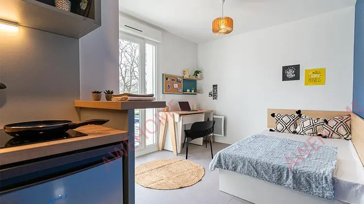 Joue les ToursStudy Overseas Accommodation Booking