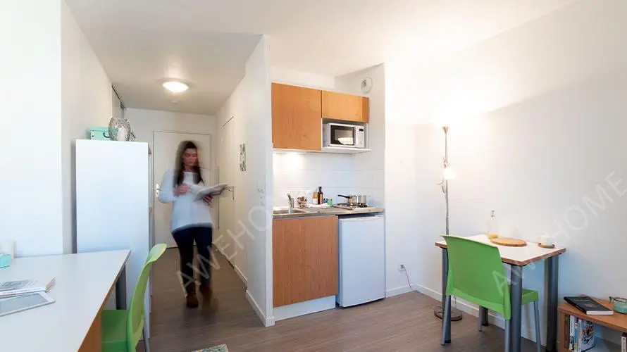 Lyon RentalsCarre Des Lumieres