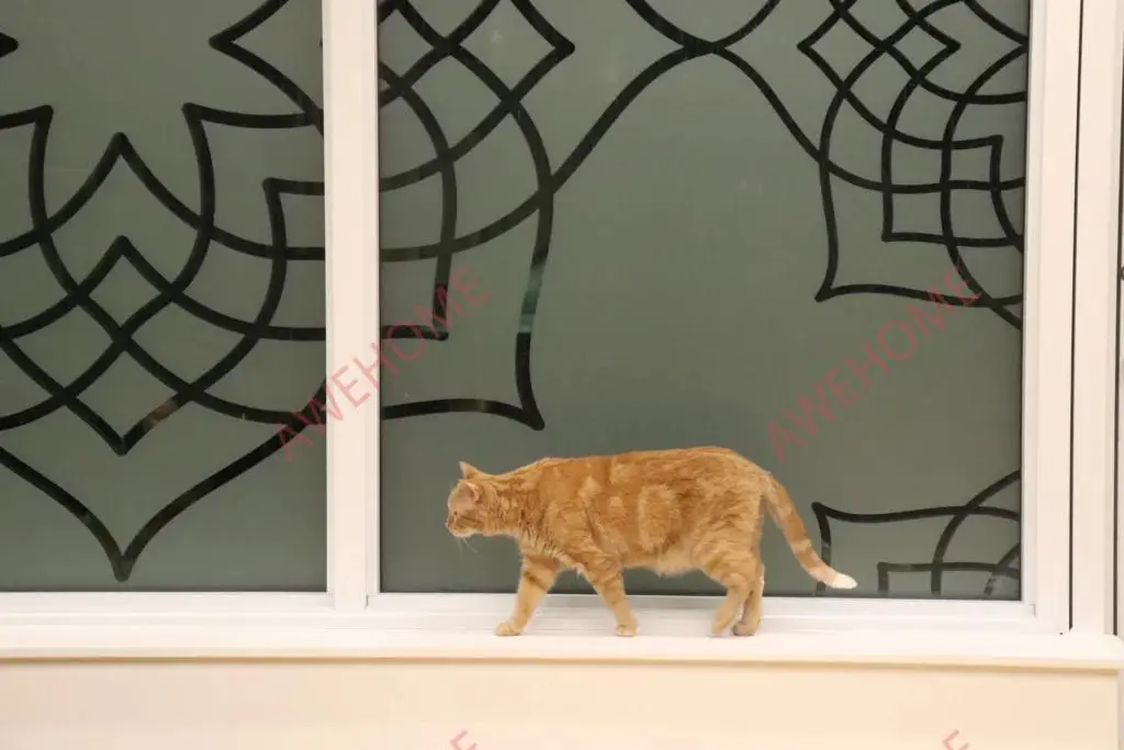 多伦多租房HOEM-All-Inclusive Student Housing