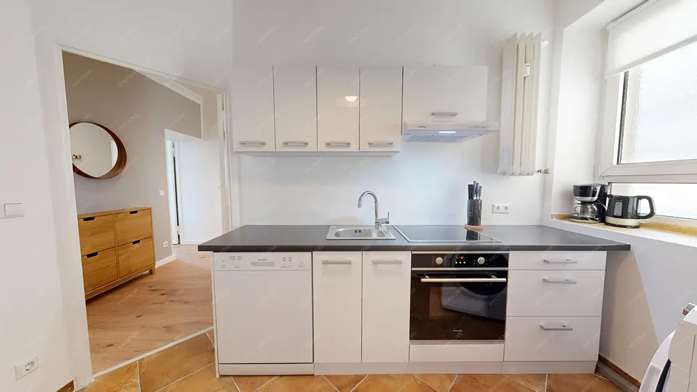 Berlin RentalsLuther 9