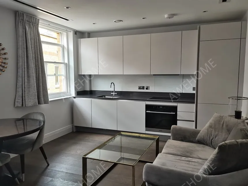 倫敦租房Chancery Lane 1 bed flat