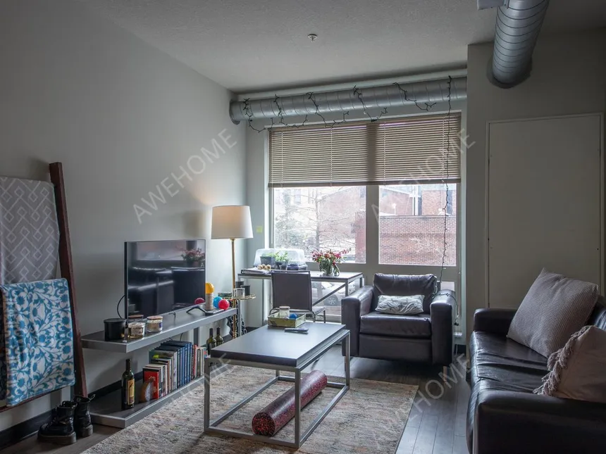 哥倫比亞 MD租房Columbia District Flats