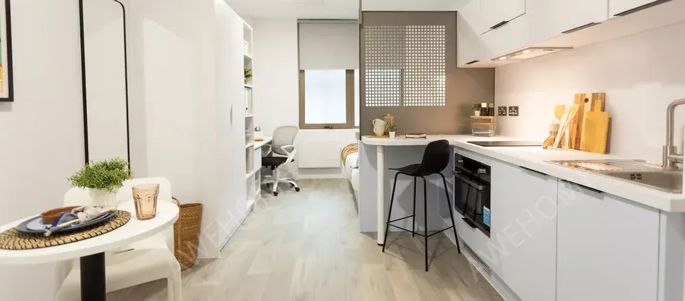 布萊頓租房Promenade Student Living-Brighton