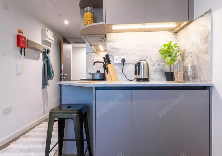 London RentalsiQ Vega