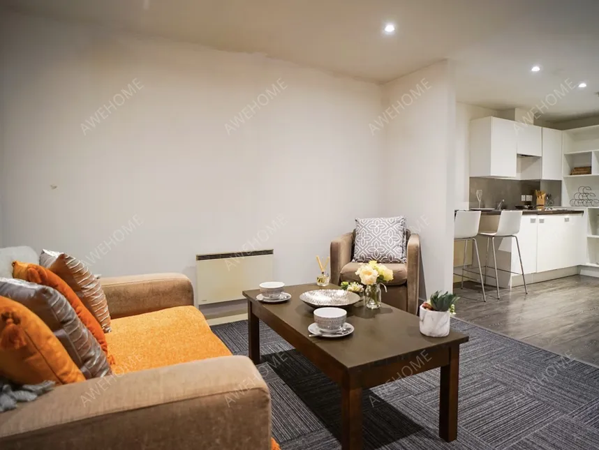 格拉斯哥租房Gallery Apartments