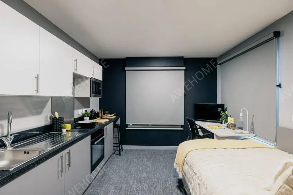 吉爾福德租房Ash Grove Court