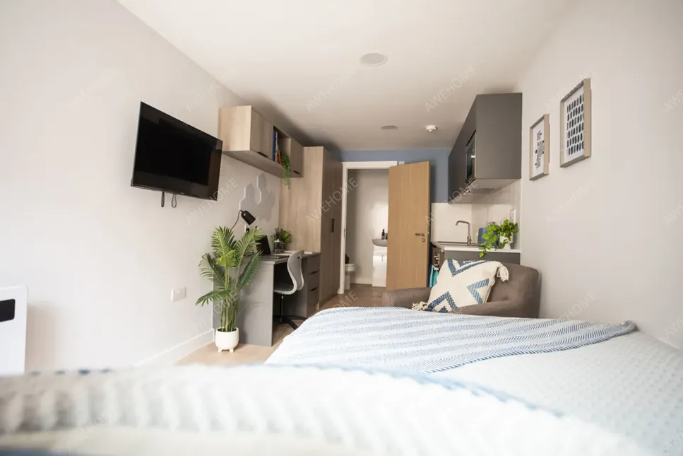 埃克塞特租房Boutique Student Living  Exeter