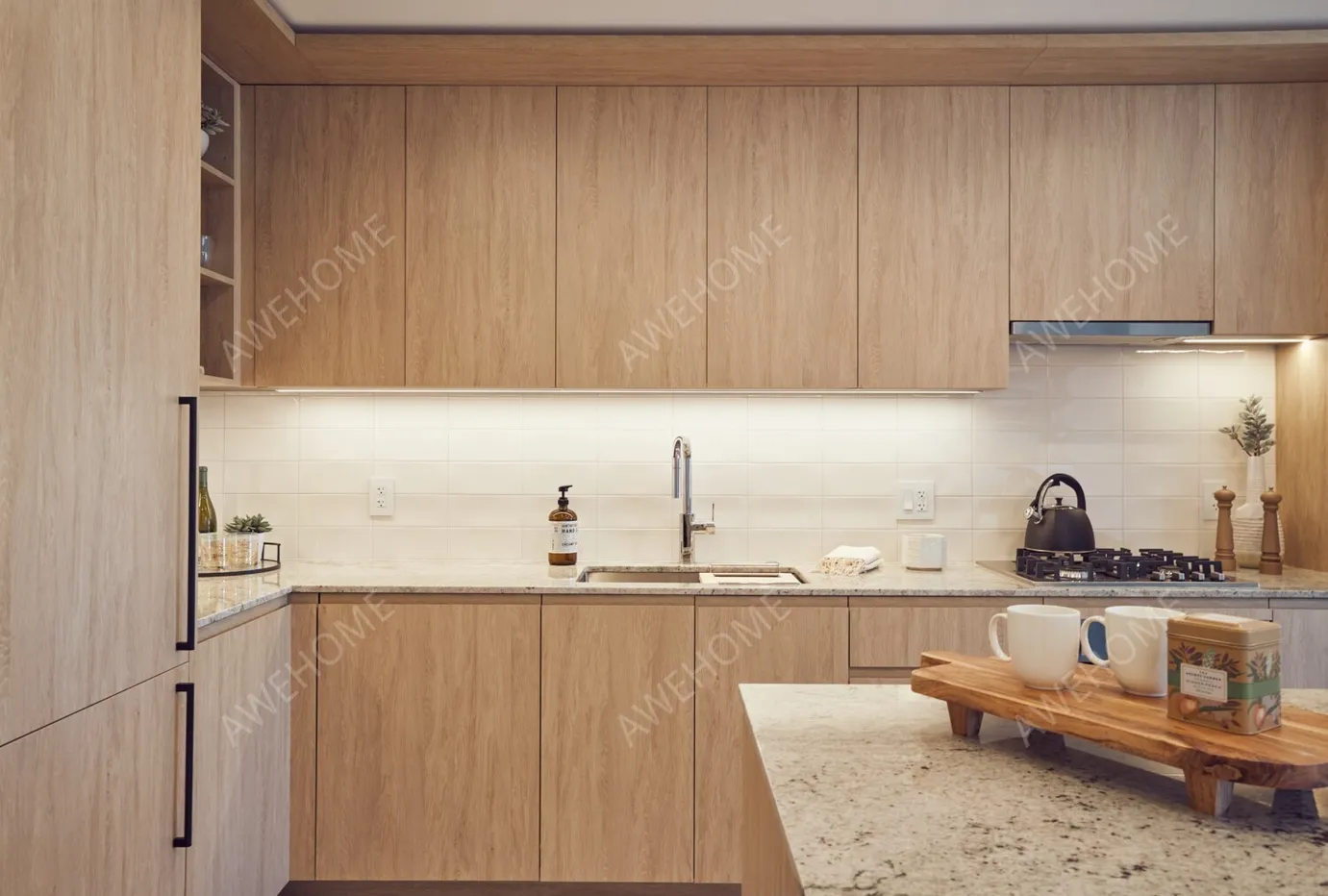 芝加哥租房Luxury River North Rental Apartments