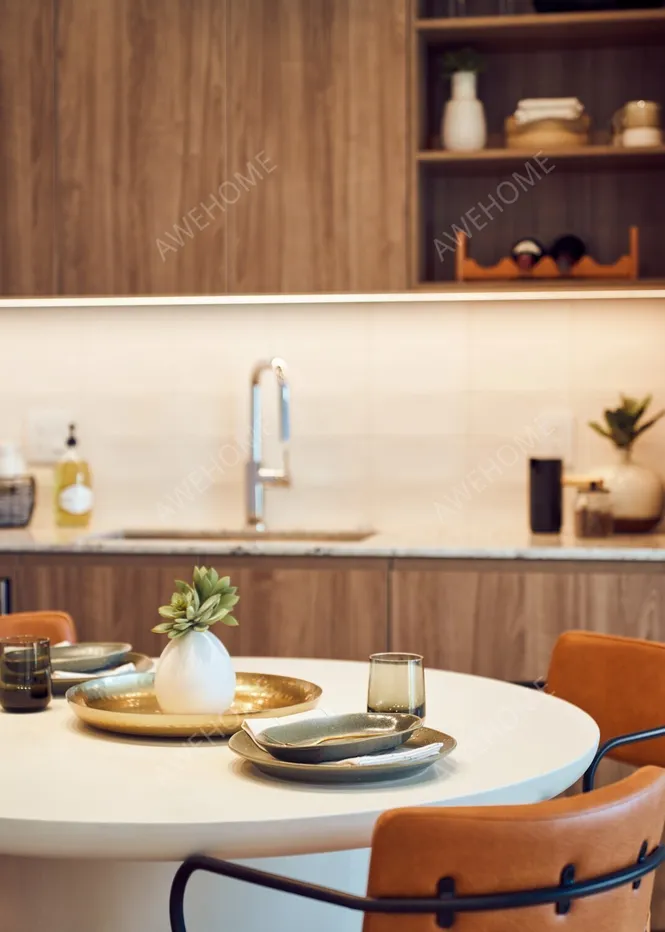 芝加哥租房Luxury River North Rental Apartments