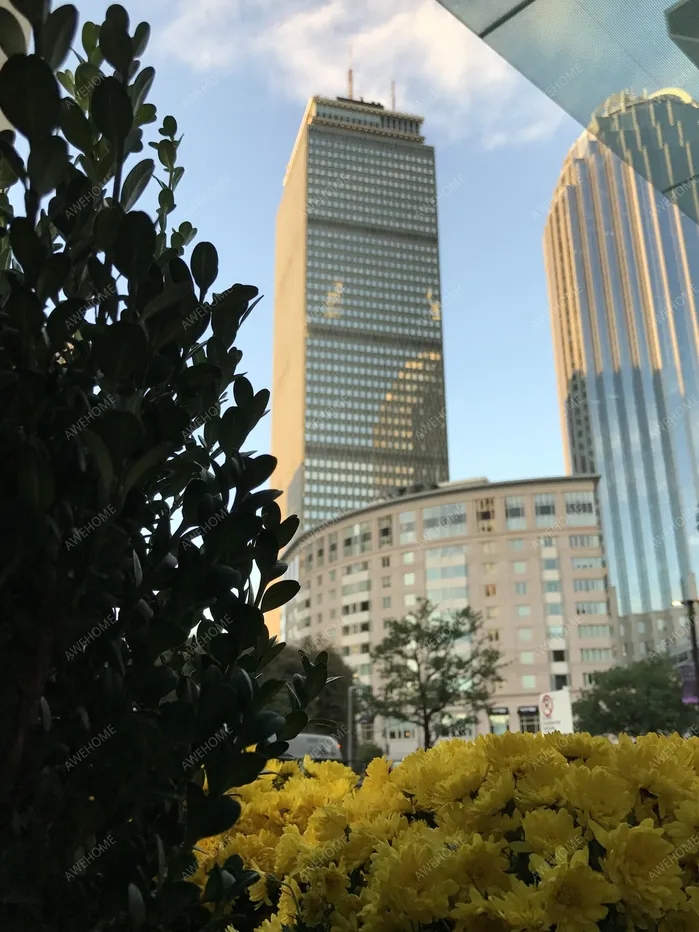 波士頓租房The Greenhouse Apartments