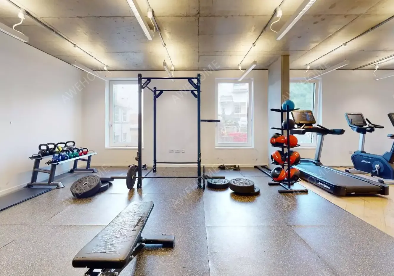 布萊頓租房iQ Brighton