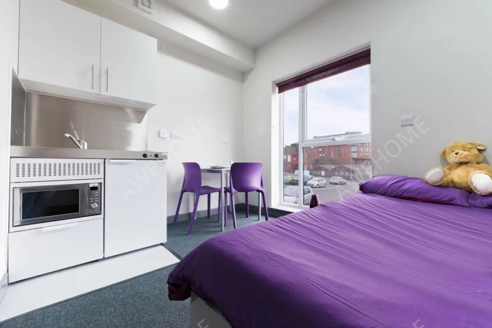 特倫特河畔斯托克租房Stoke Student Village