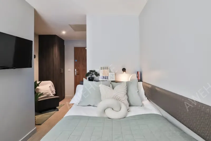 卡迪夫租房Windsor House