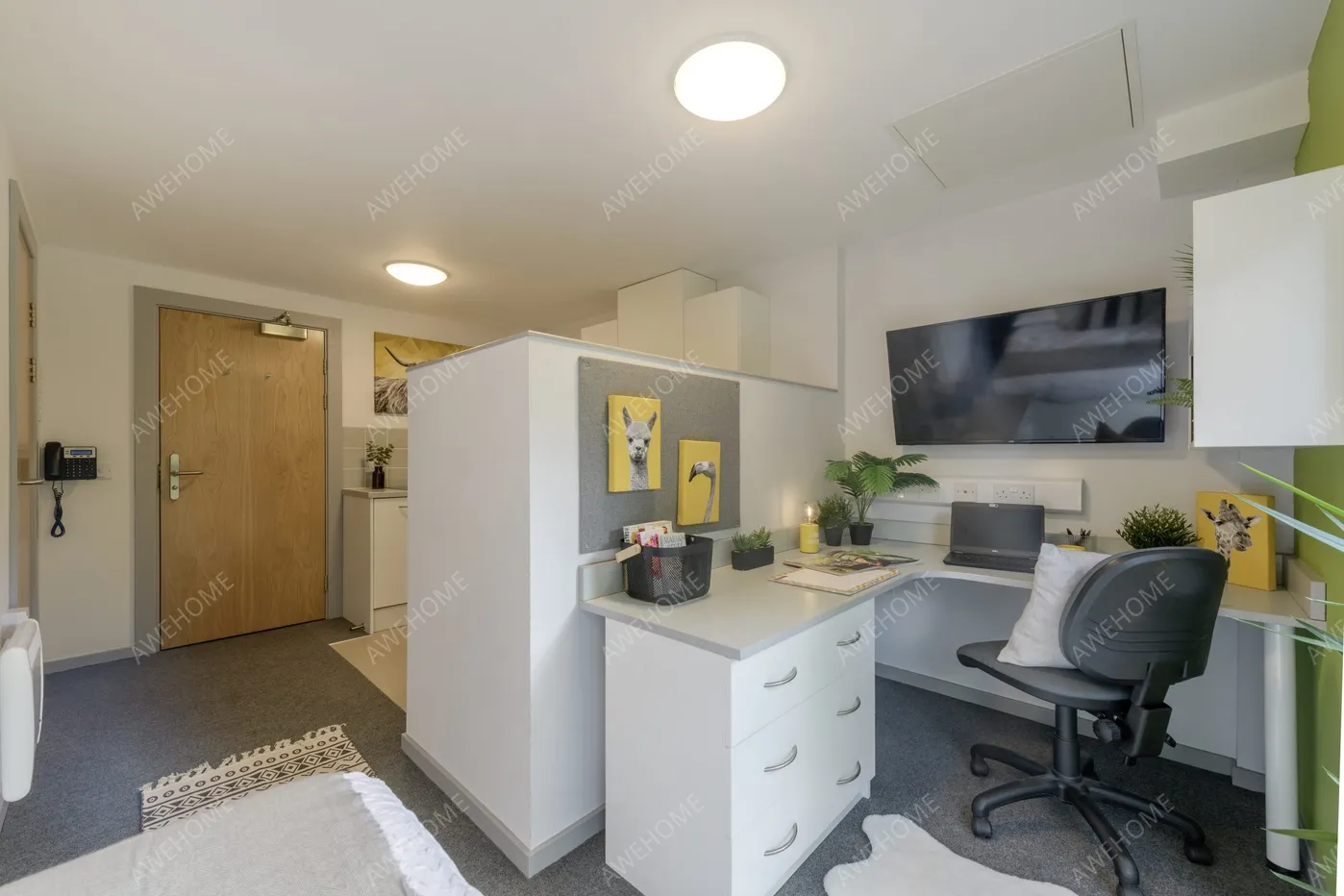 紐卡斯爾租房Newton Court