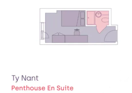 斯旺西租房Ty Nant