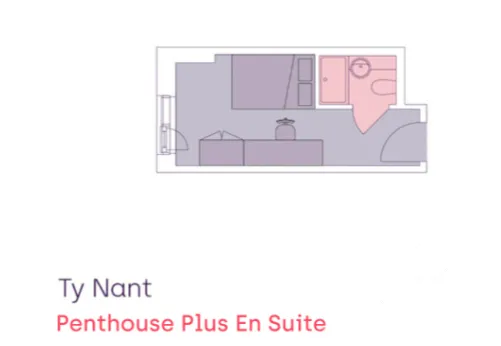 斯旺西租房Ty Nant