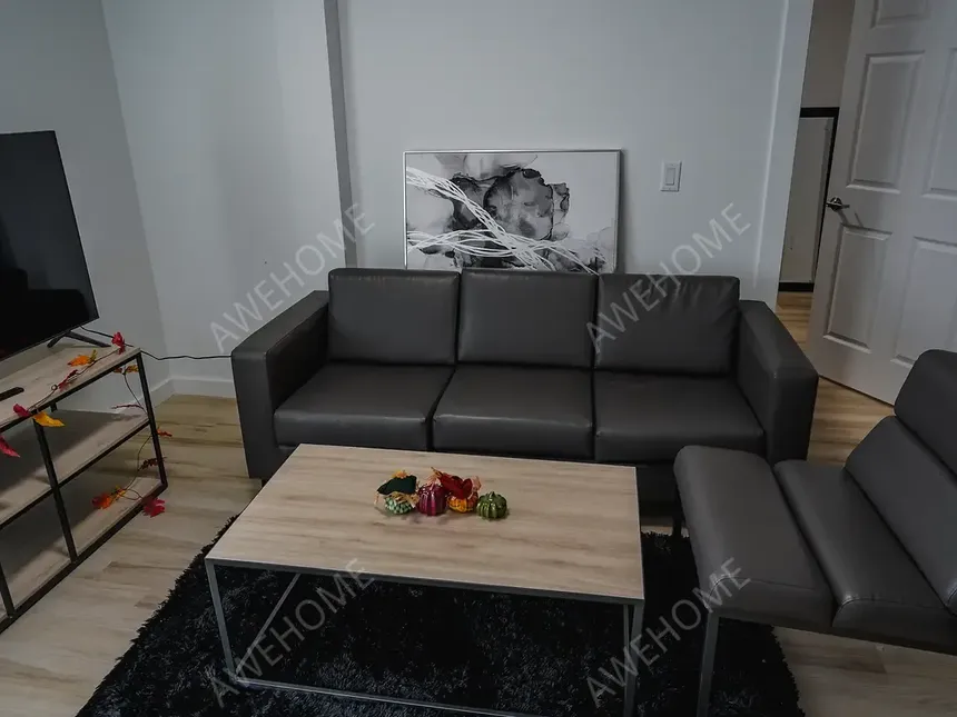 尚佩恩租房Champaign South 3rd Lofts