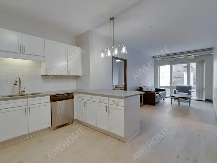 明尼阿波利斯租房Minneapolis 412 Lofts