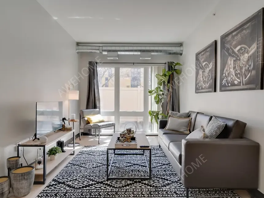 明尼阿波利斯租房Minneapolis 412 Lofts